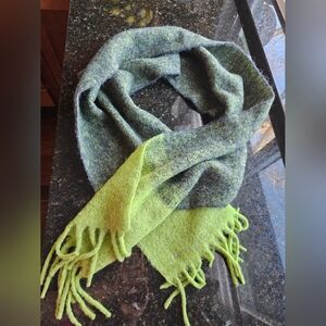 Rag and Bone Shire Ombre Fringe Scarf